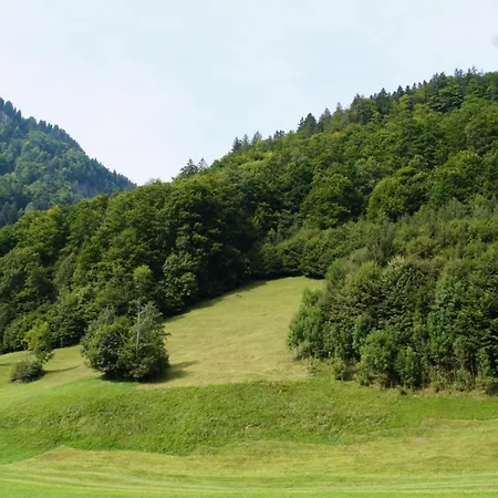 Haus Am Wasserfall Mellau