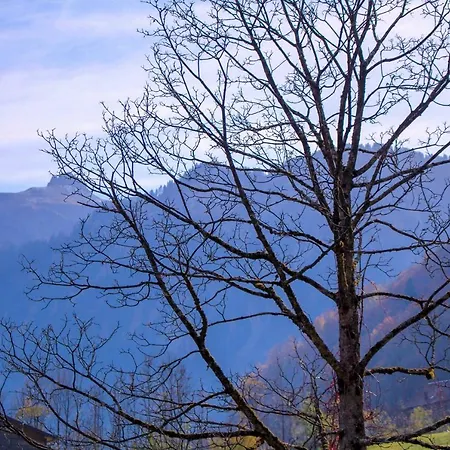 Haus Am Wasserfall Lejlighed *