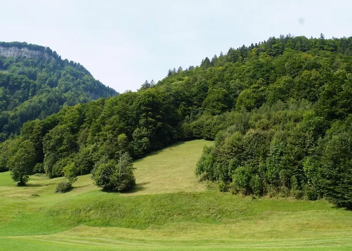 Haus Am Wasserfall Mellau